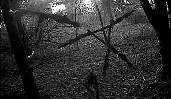 54 - The Blair Witch Project (1999)