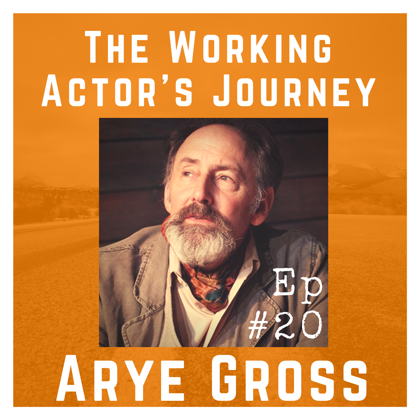 The Working Actor\'s Journey