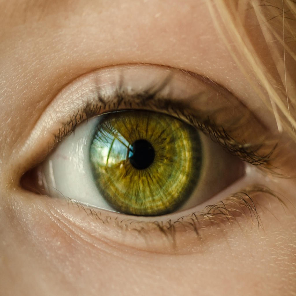 In the Blink of an Eye.