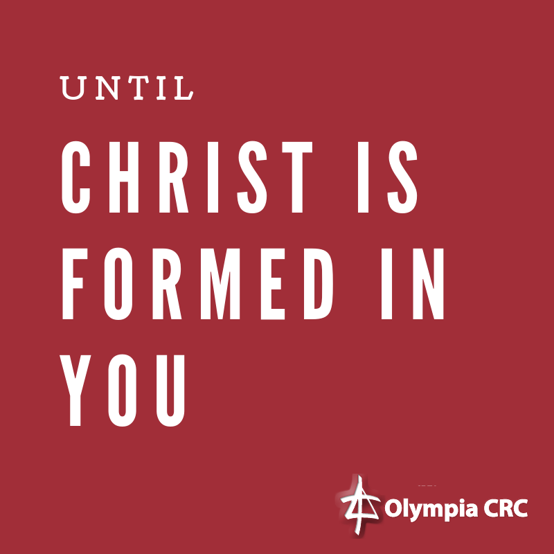 Until Christ Is Formed In You (1): On The Road Together - Pastor Mark Van Haitsma episode artwork