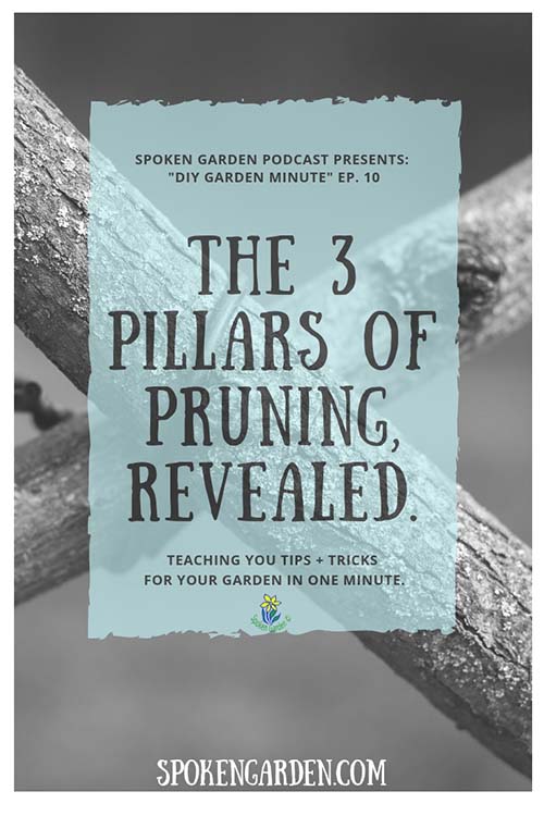 The 3-Pillars of Pruning - DIY Garden Minute Ep. 10
