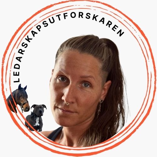 LEDARSKAPSUTFORSKAREN