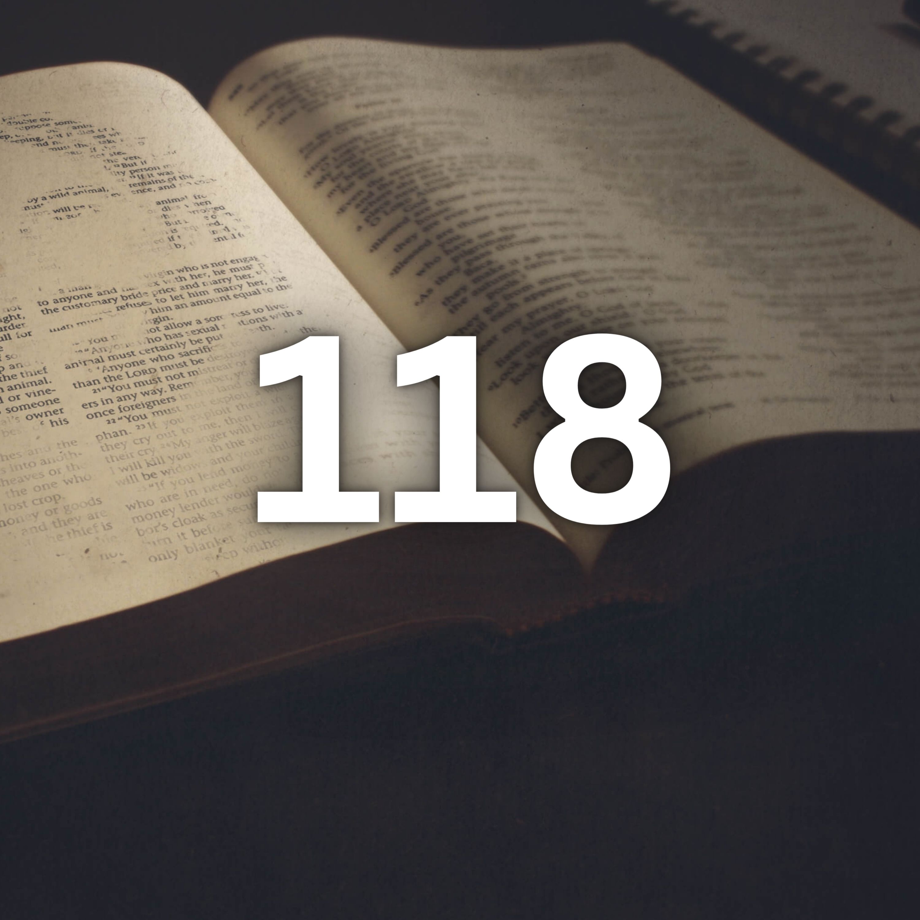 Walking With The Word | The Bible In 365