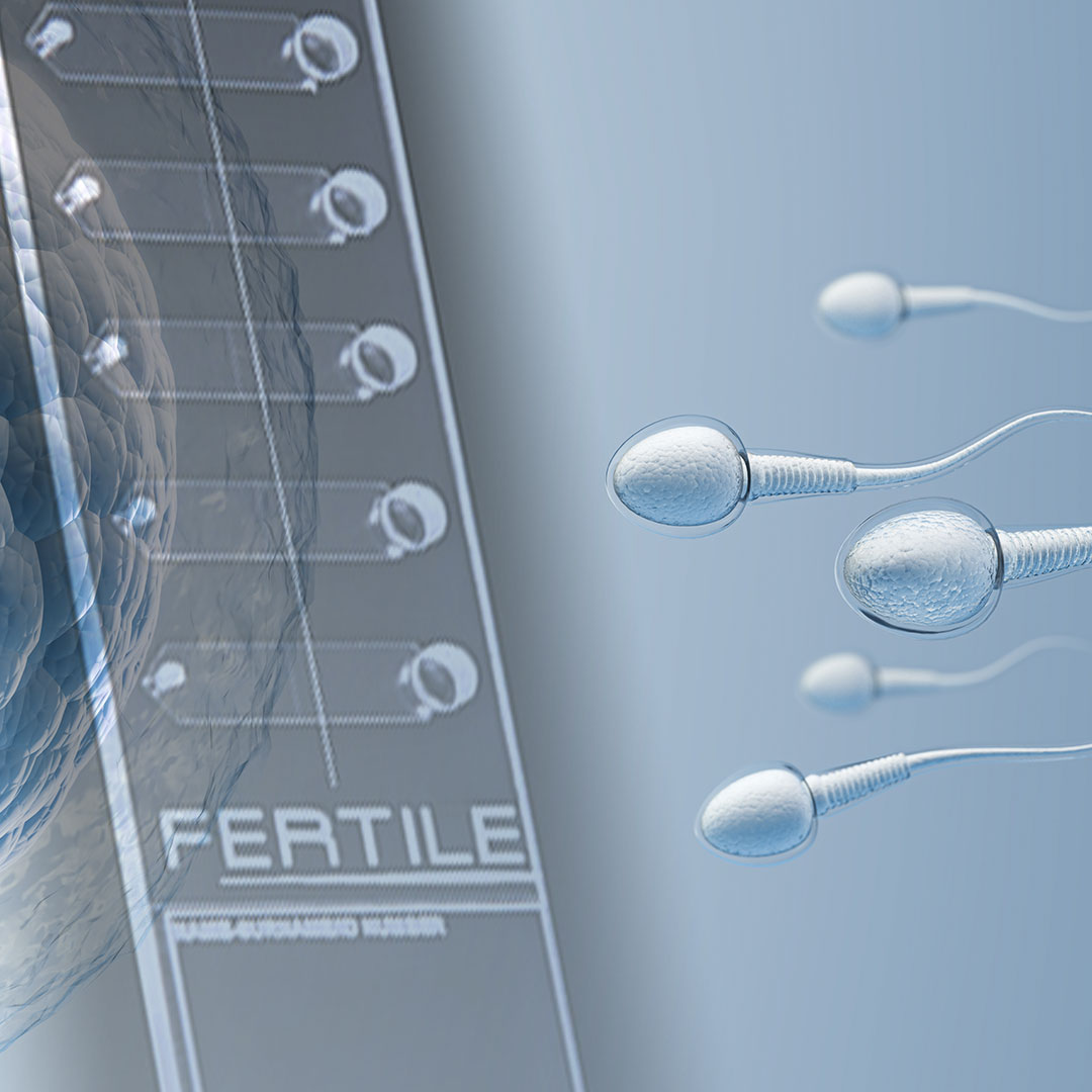 Kinderwunsch & CHIPSI-Methode: Innovative Samenselektion in der Kinderwunschbehandlung