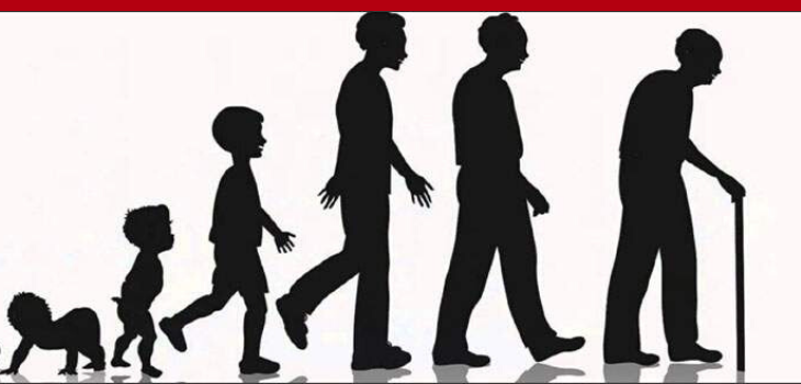 Longevity 101: How To Live Longer, Stronger, Healthier with Keith Baar