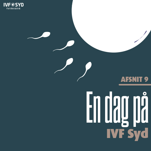 En dag på IVF Syd