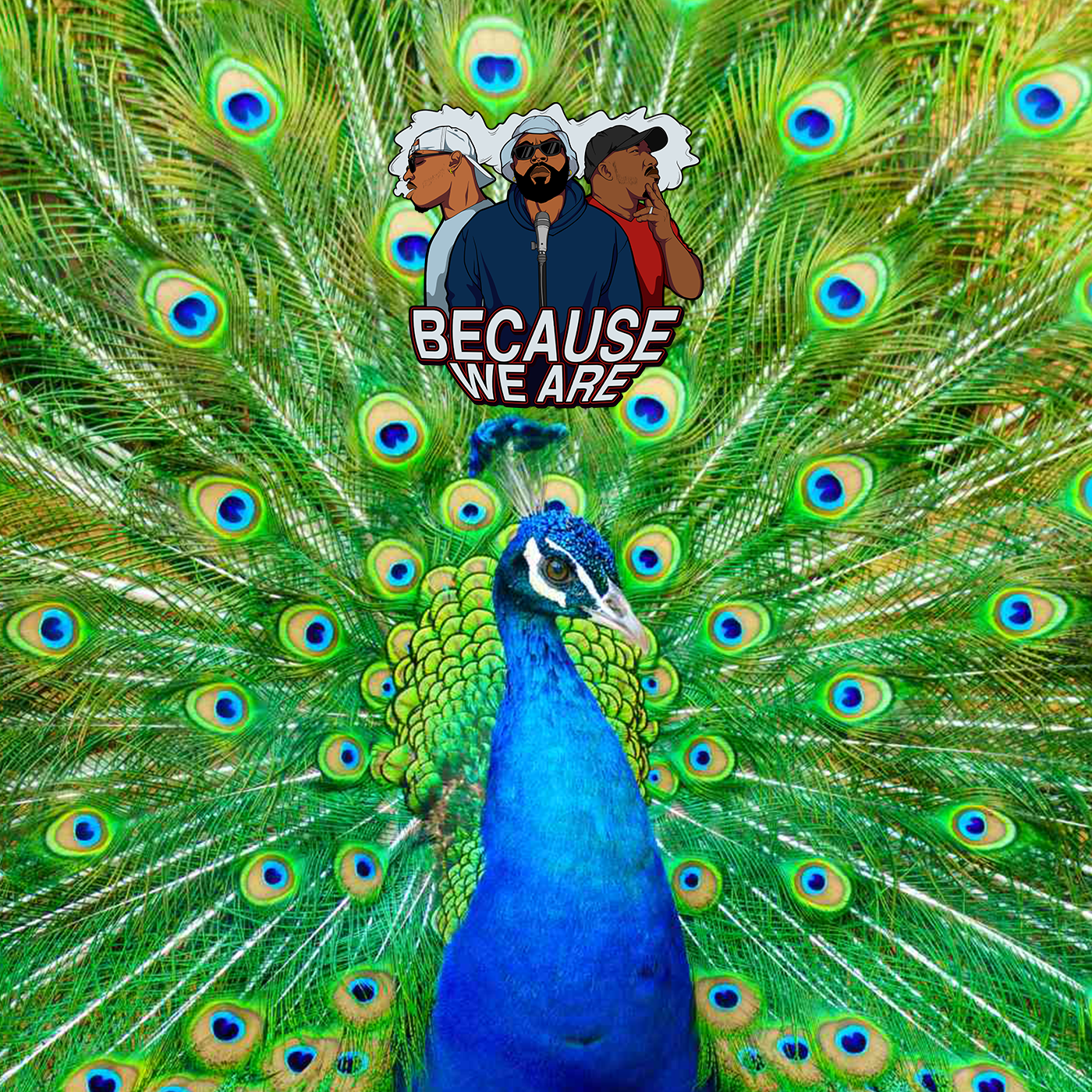 Because We Are Podcast