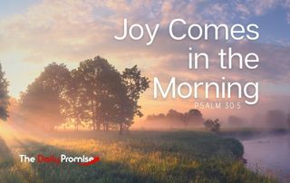 The Daily Promise