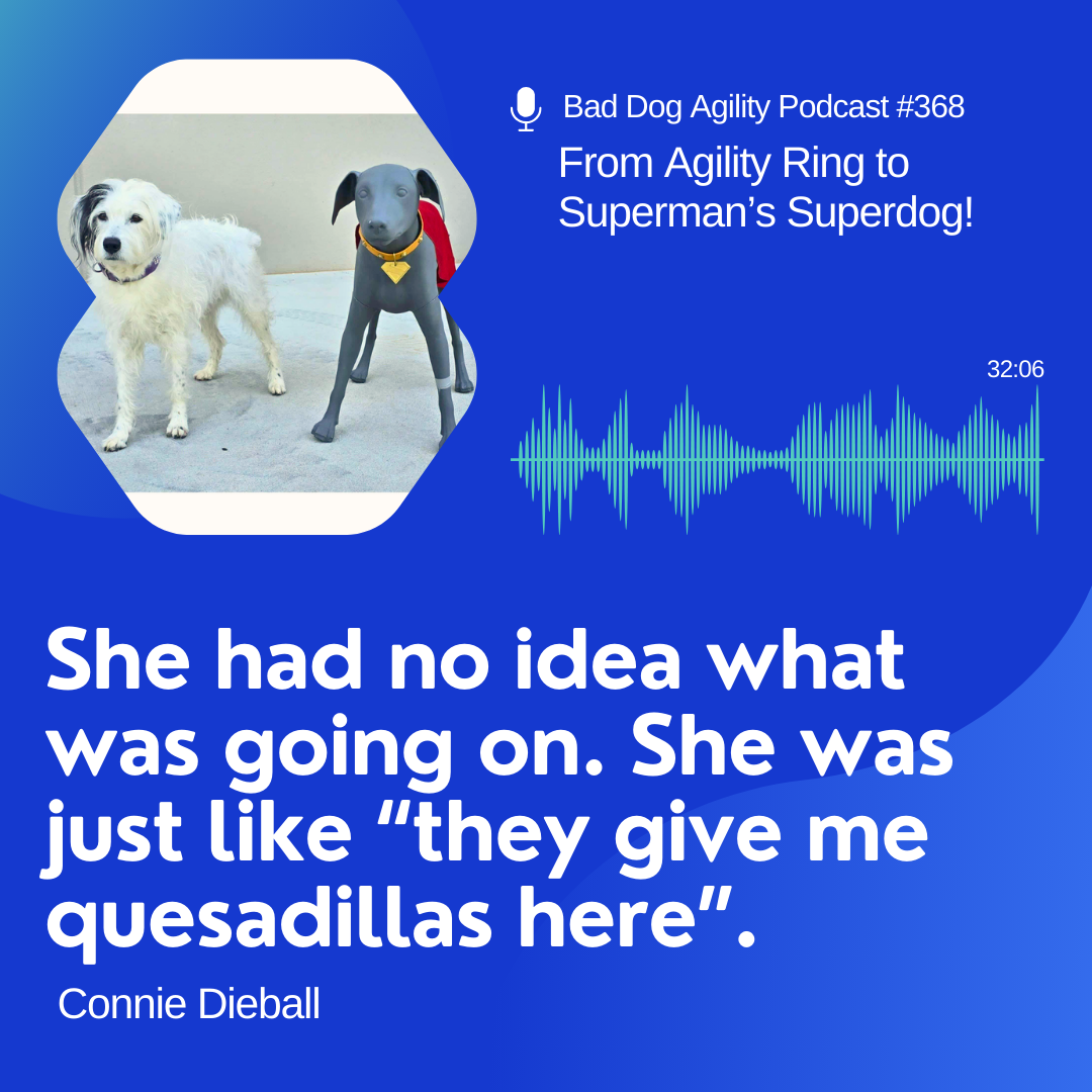 368: From Agility Ring to Superman’s Superdog!