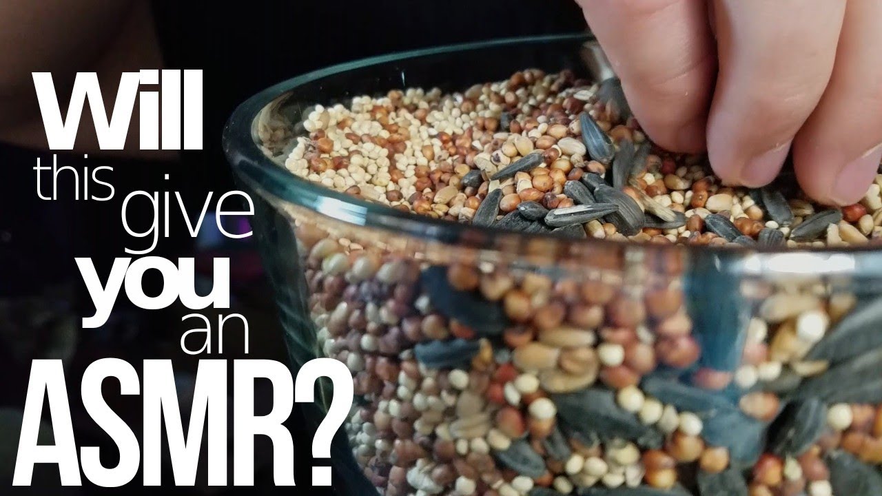 Will this give you an ASMR? | ASMR sounds