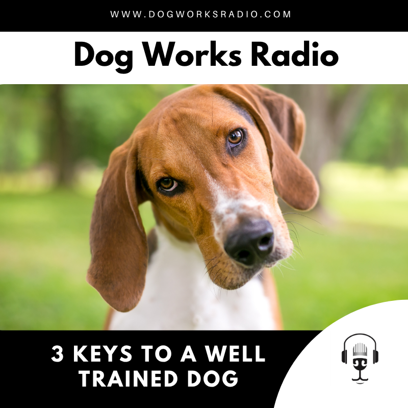 The 3 Keys to a Well-Trained Dog: Win the Mind, Motivate the Heart, Encourage the Right Behavior