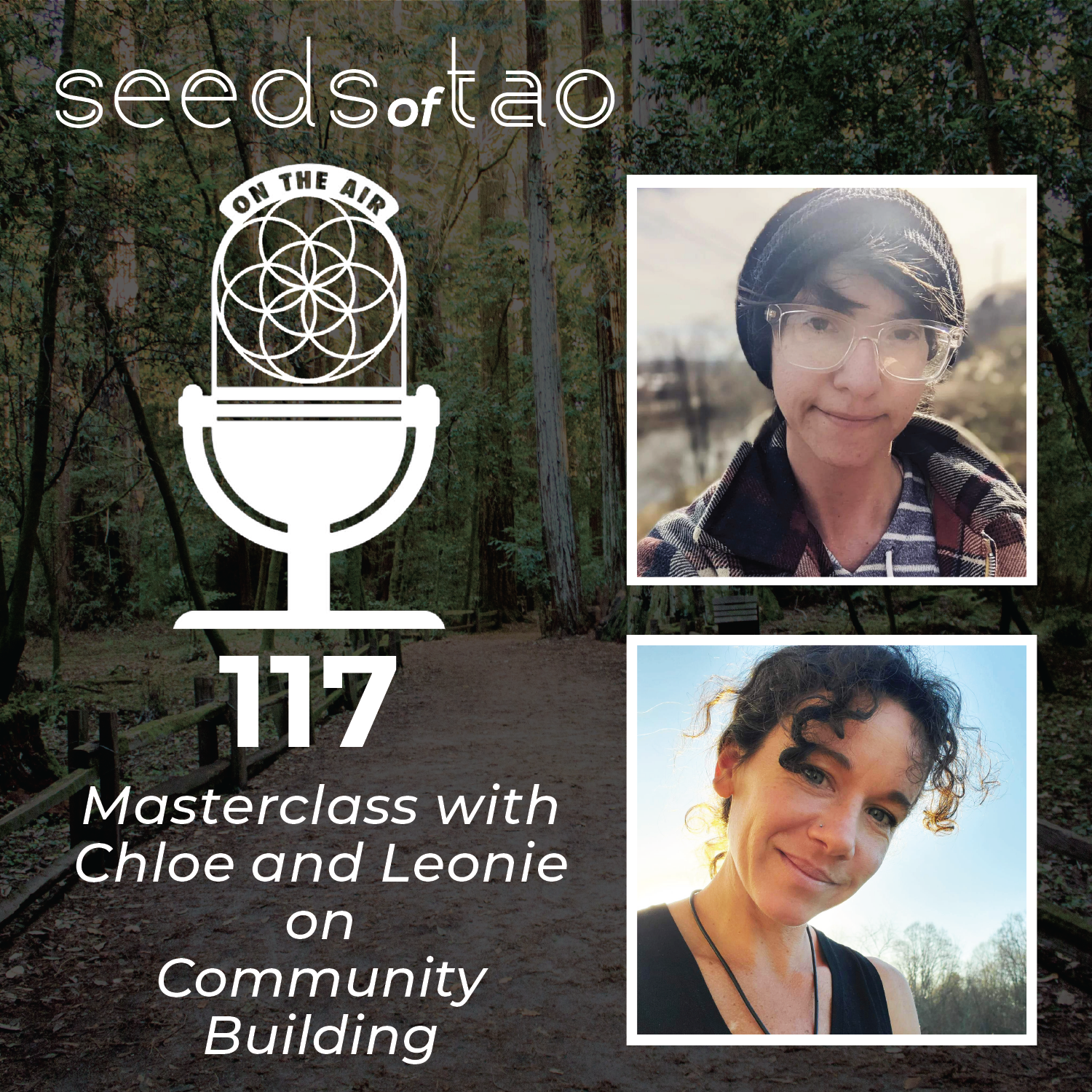 Seeds of Tao: Impact entrepreneurs seeding regenerative paths beyond sustainability
