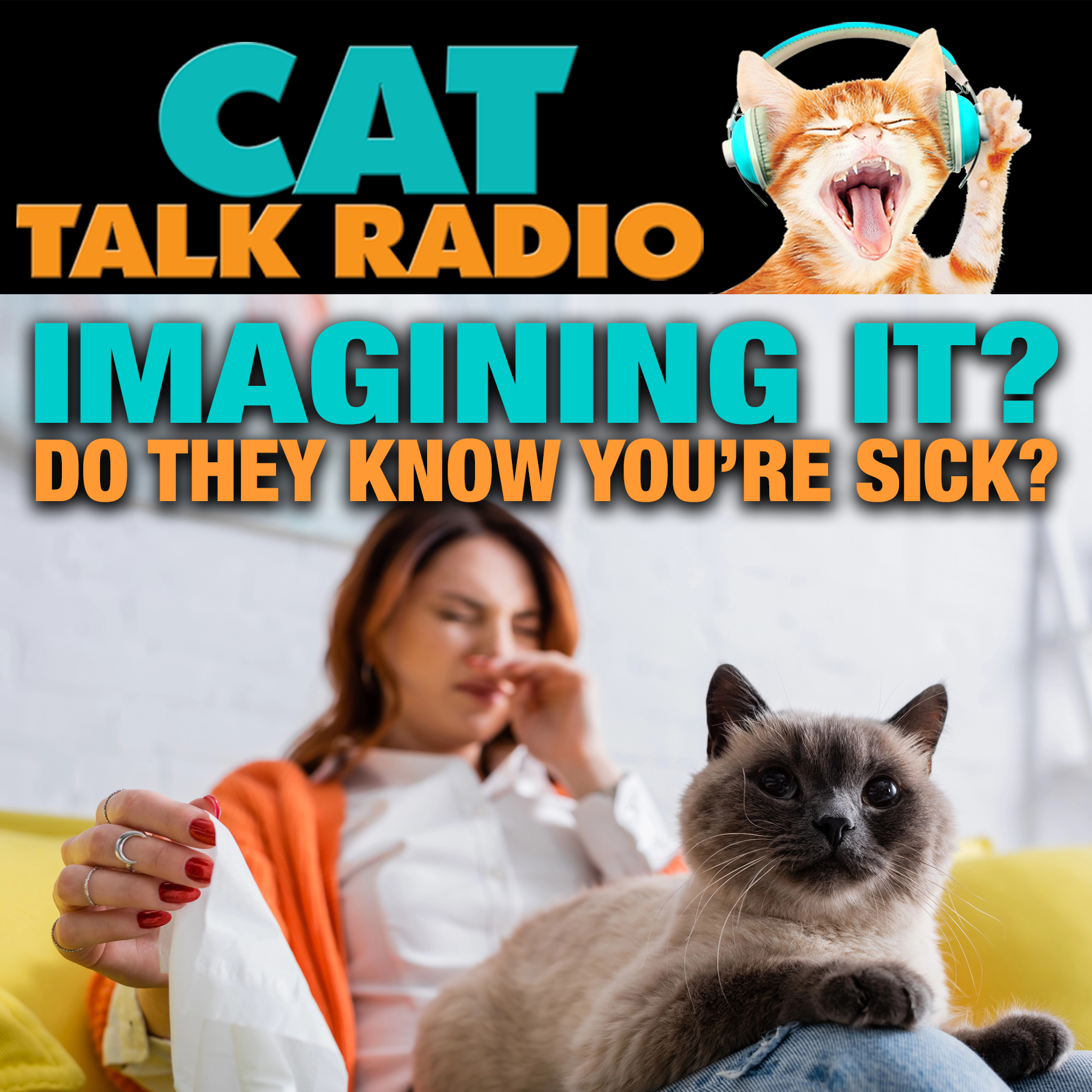 Cat Talk Radio