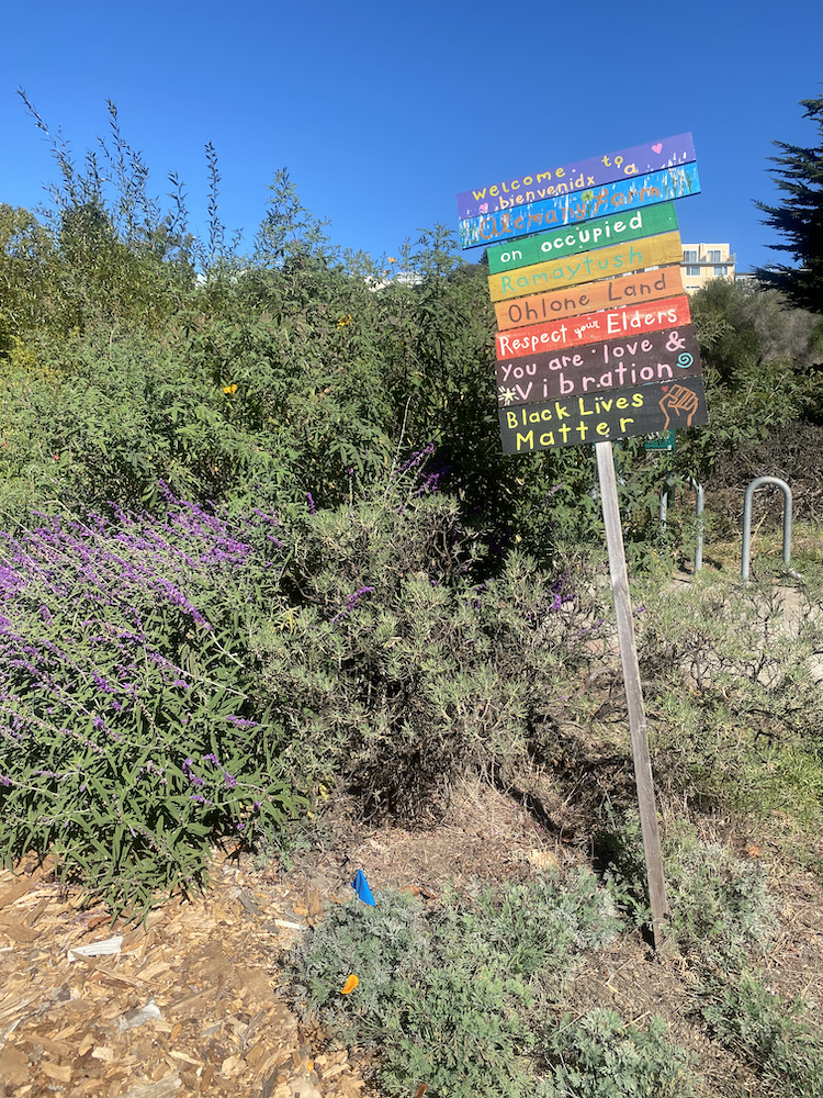 Alemany Farm, Part 1 (S5E4)