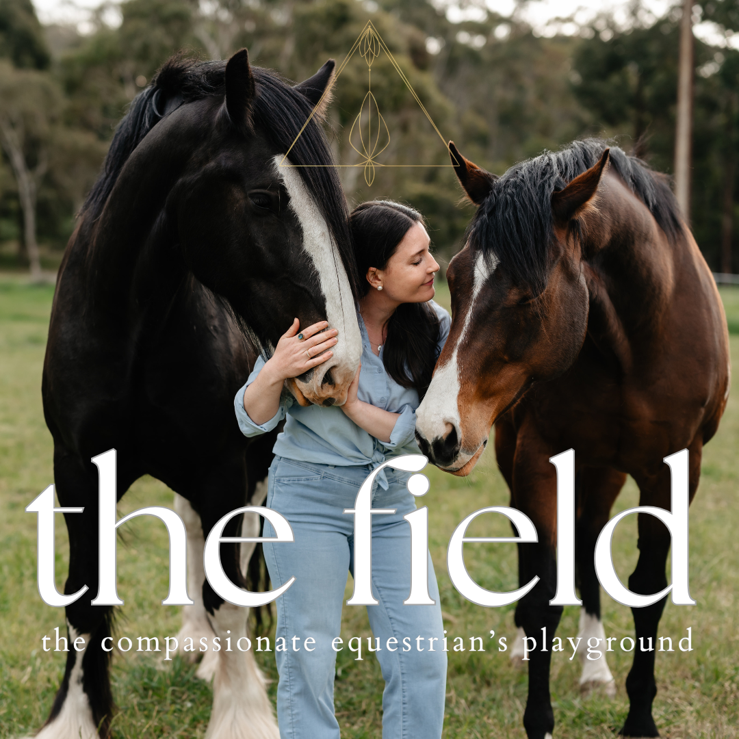 163. Introducing, The Field: Where the worlds of intuitive horsewomanship, personal growth, spirituality and embracing your humanness come together as one.