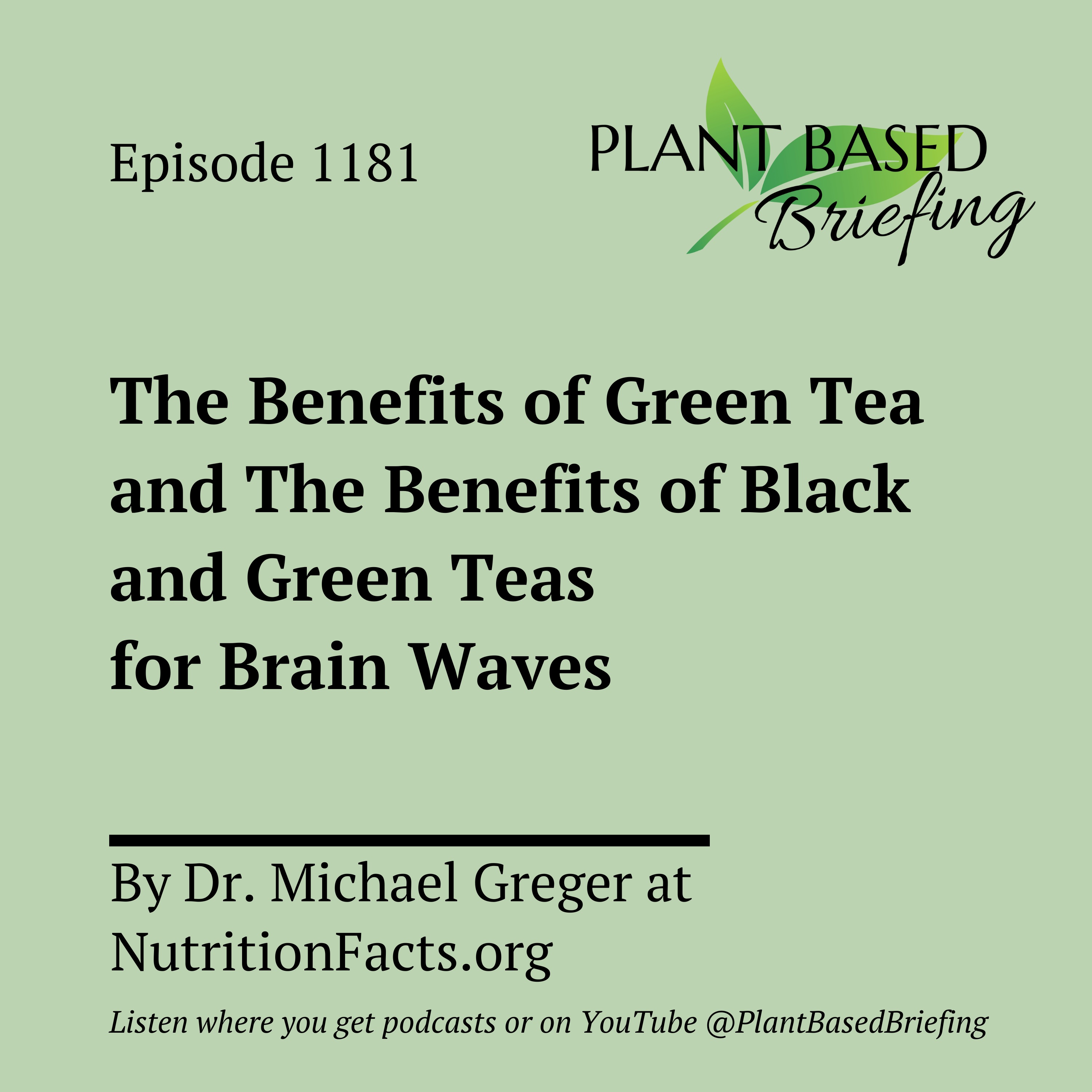 Plant Based Briefing