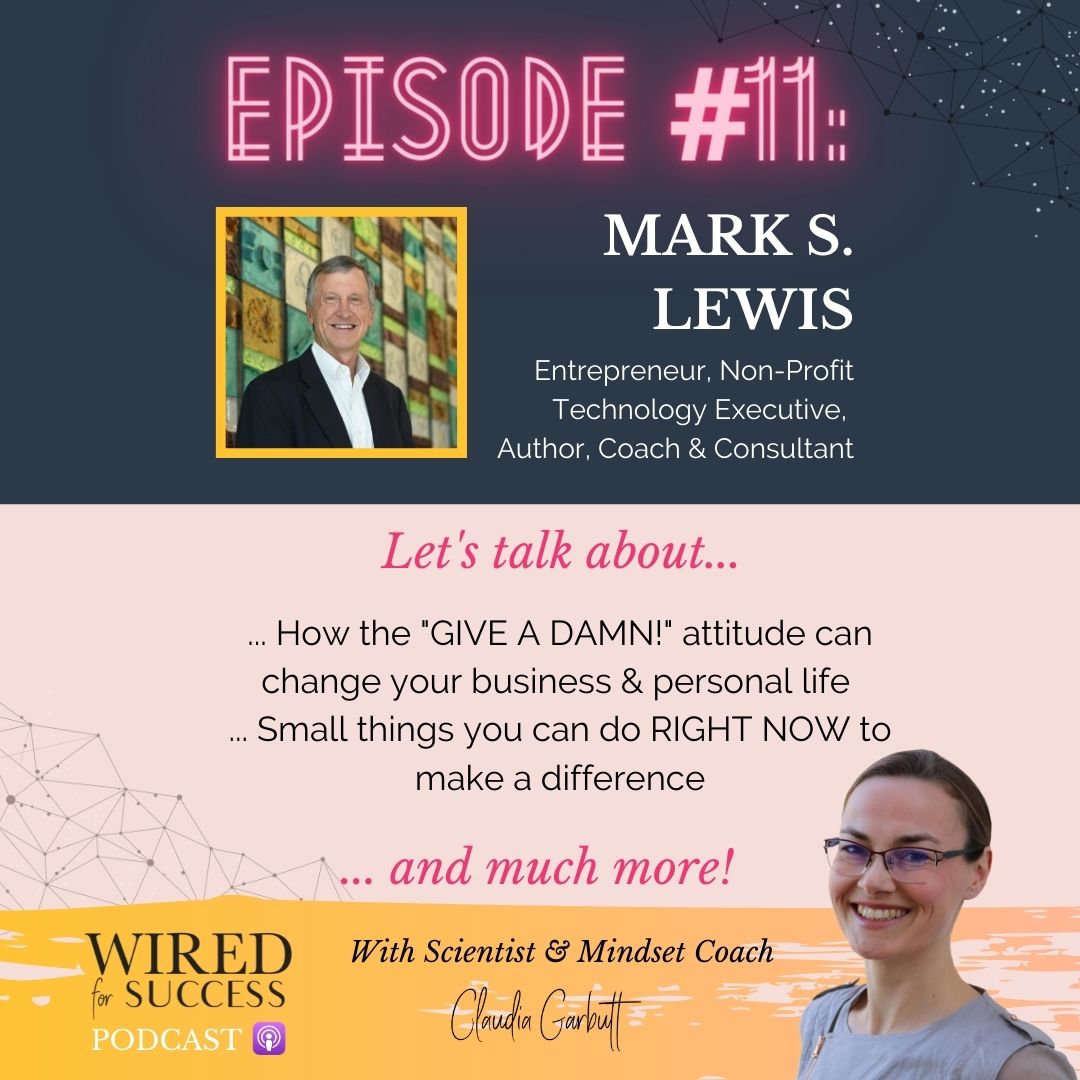 WFS #11: Giving a DAMN! with Mark S. Lewis