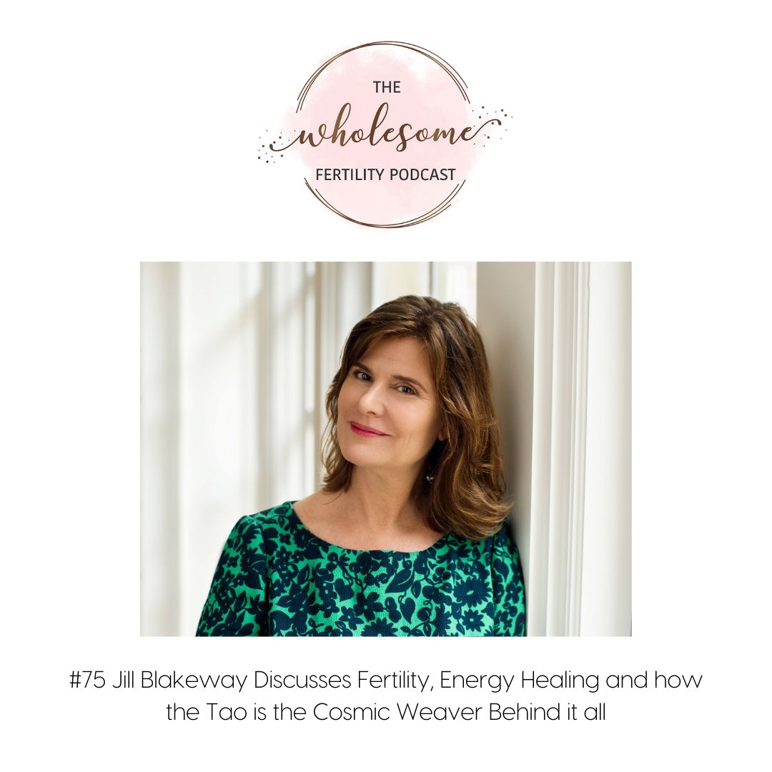 Wholesome Fertility Podcast