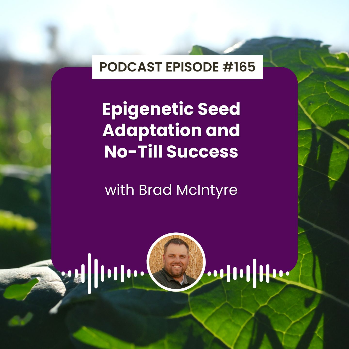 Episode 165: Epigenetic Seed Adaptation and No-Till Success with Brad McIntyre