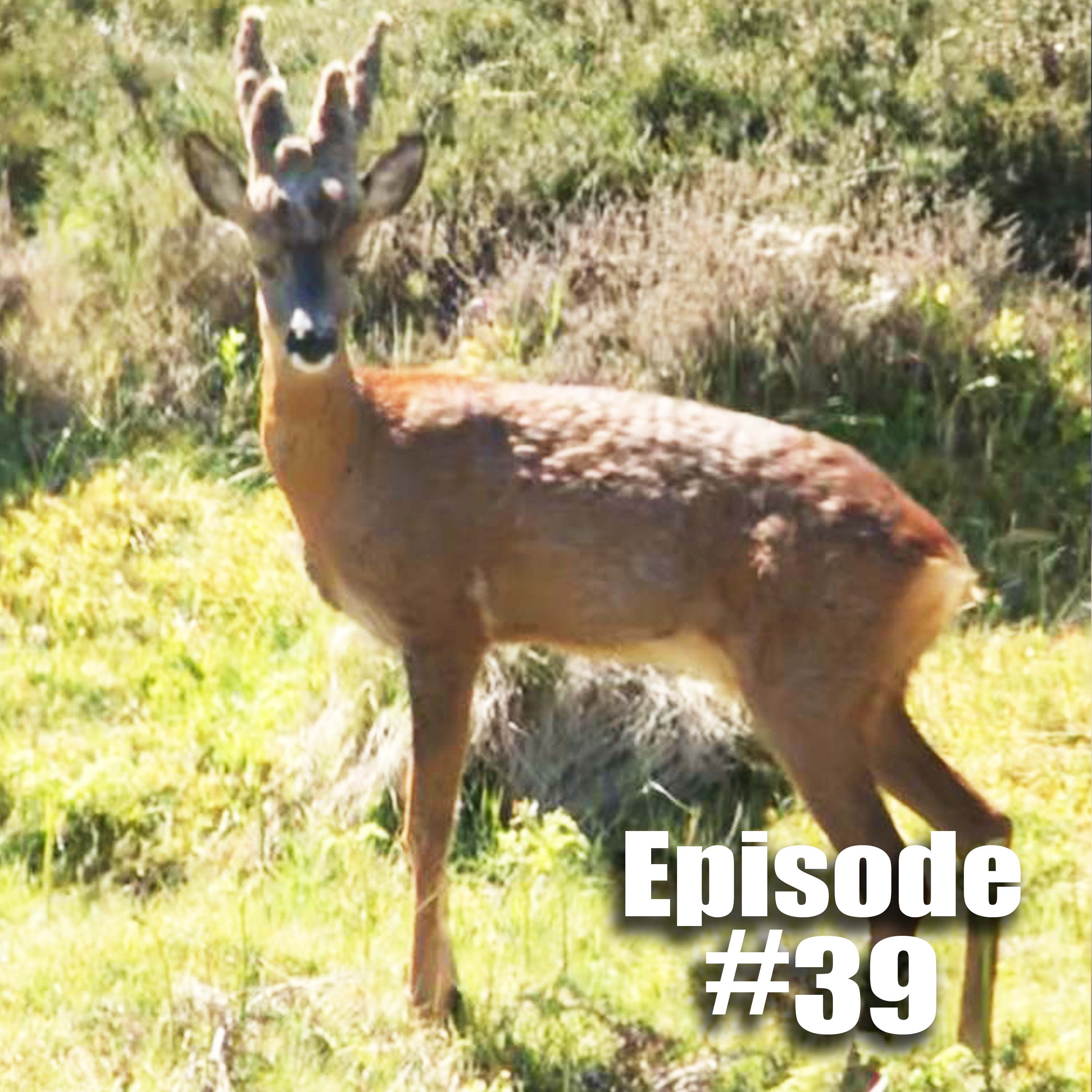 FieldsportsChannel\'s Podcast
