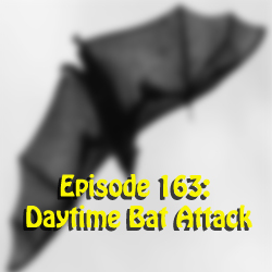 Episode 163: Daytime Bat Attack