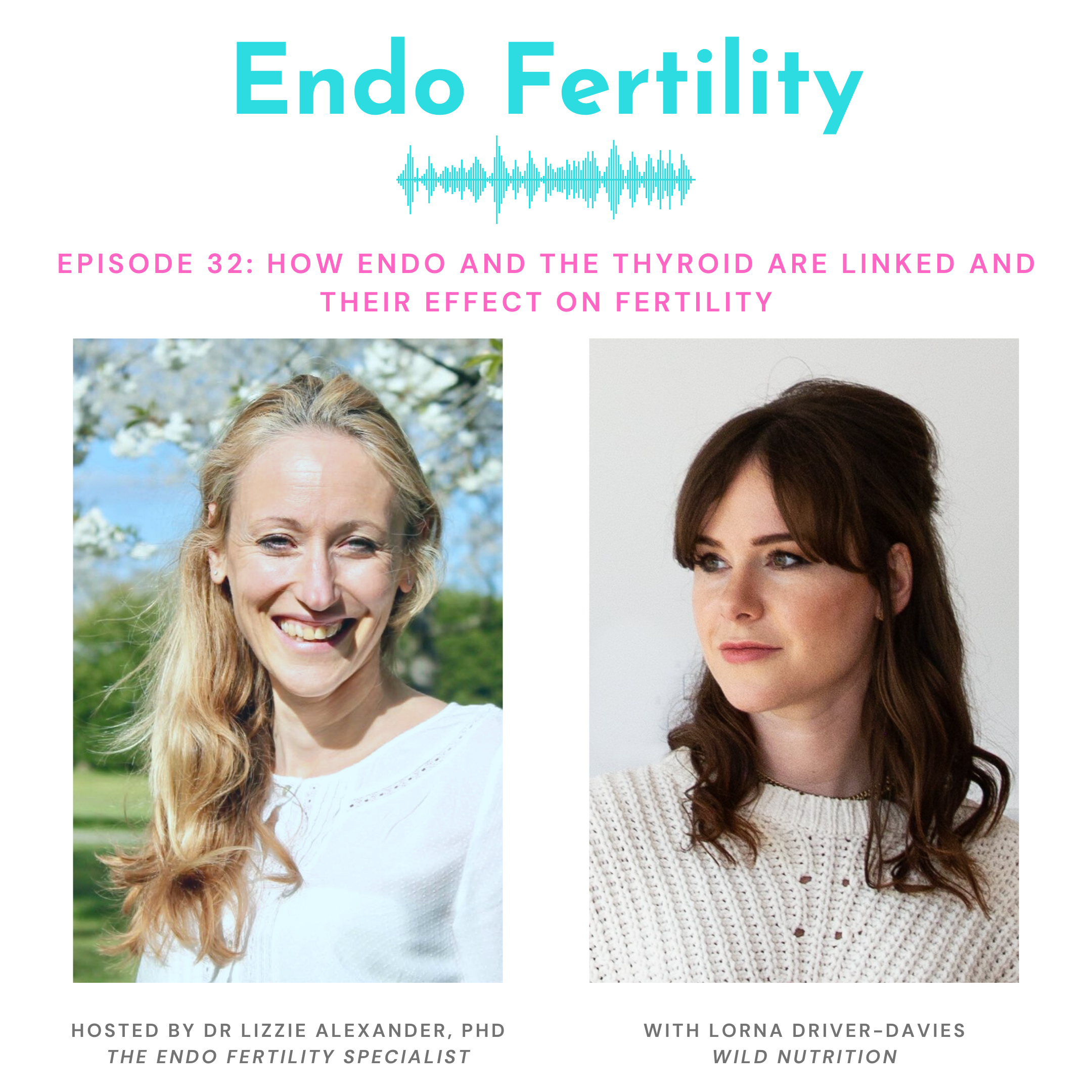 Endo Fertility