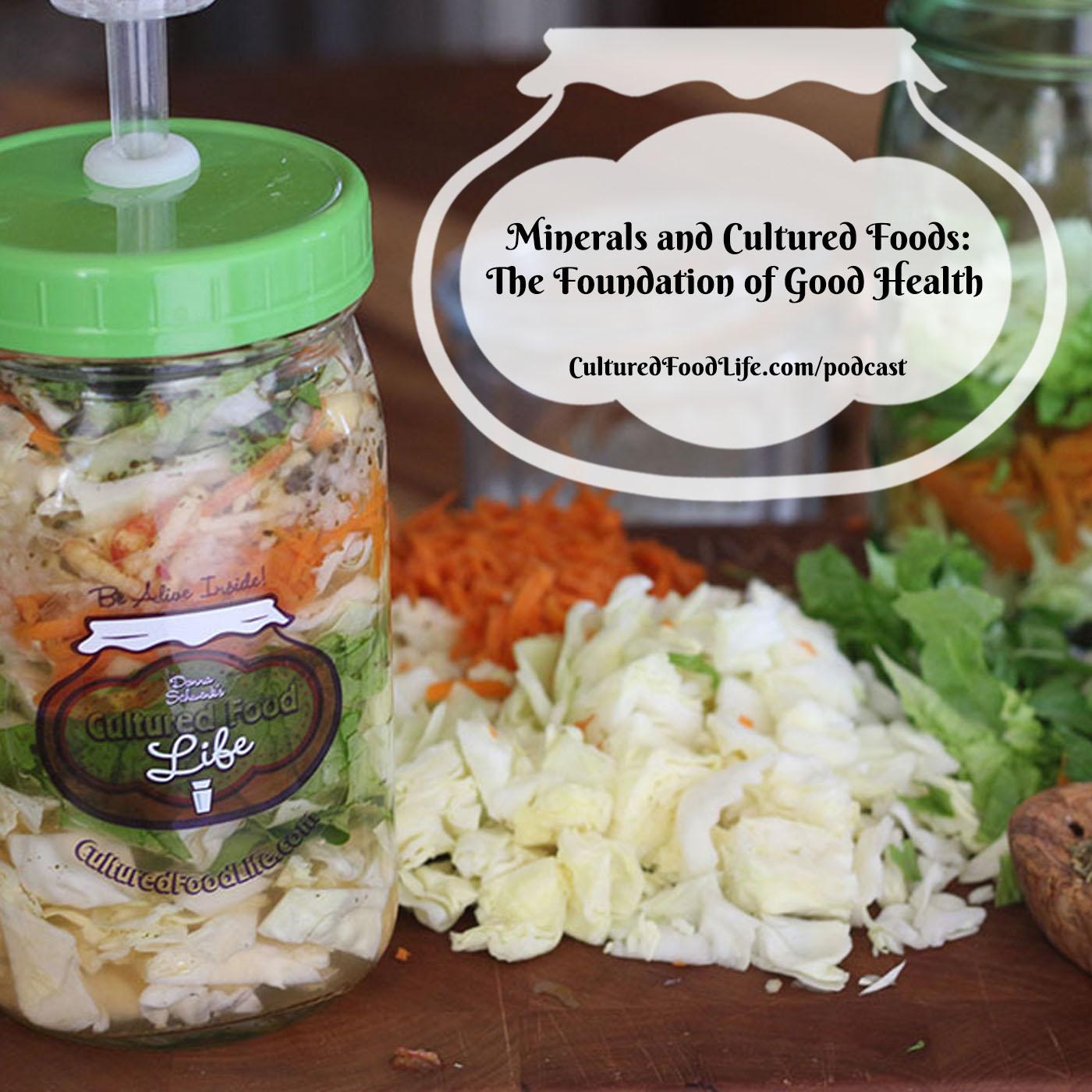 Episode 331: Minerals and Cultured Foods: The Foundation of Good Health