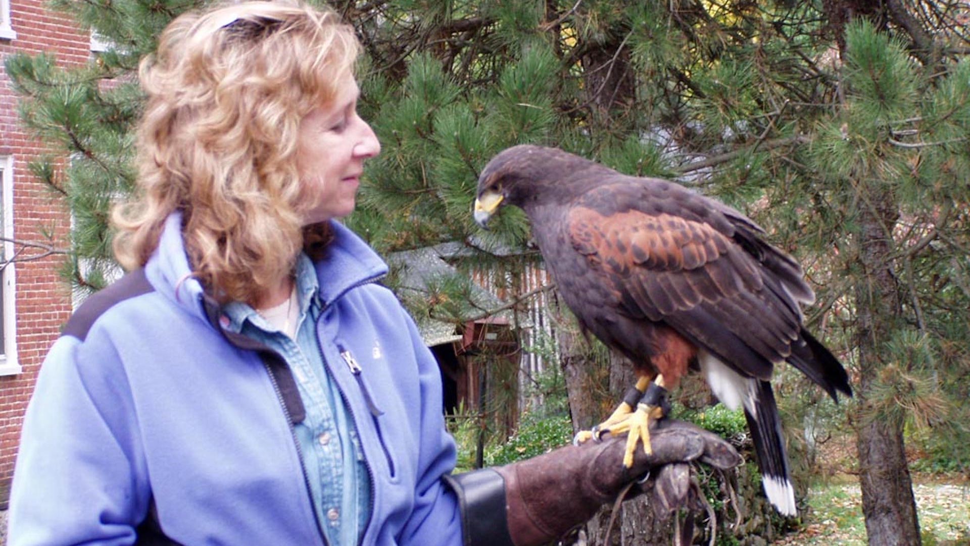 Bird Podcast with Shoba Narayan