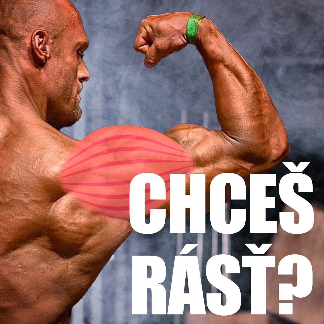 Čo ťa brzdí v progrese vo fitku? l 10 chýb Čo ťa brzdí v progrese vo fitku? l 10 chýb
