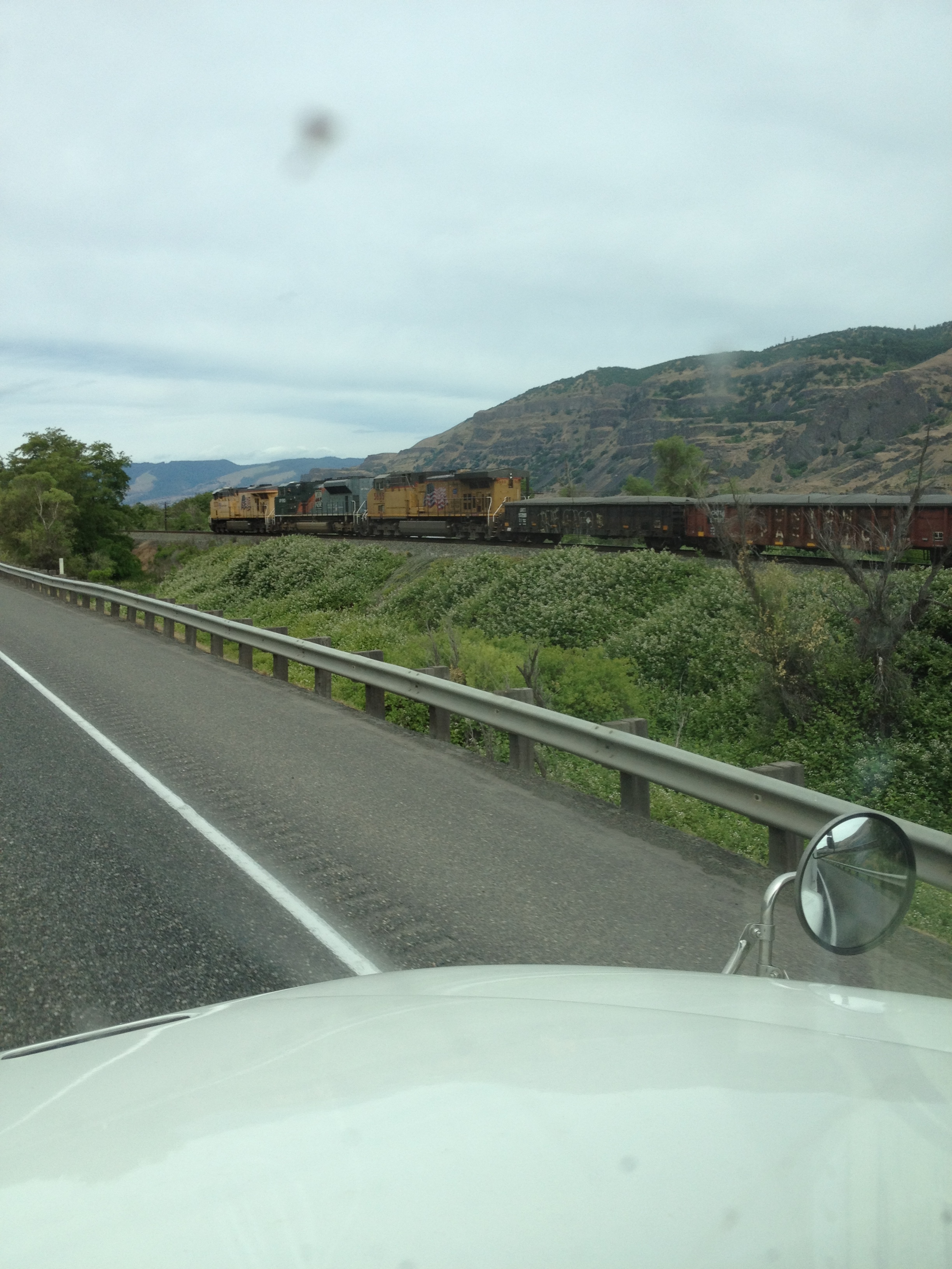 TWK Trucking with kingfish