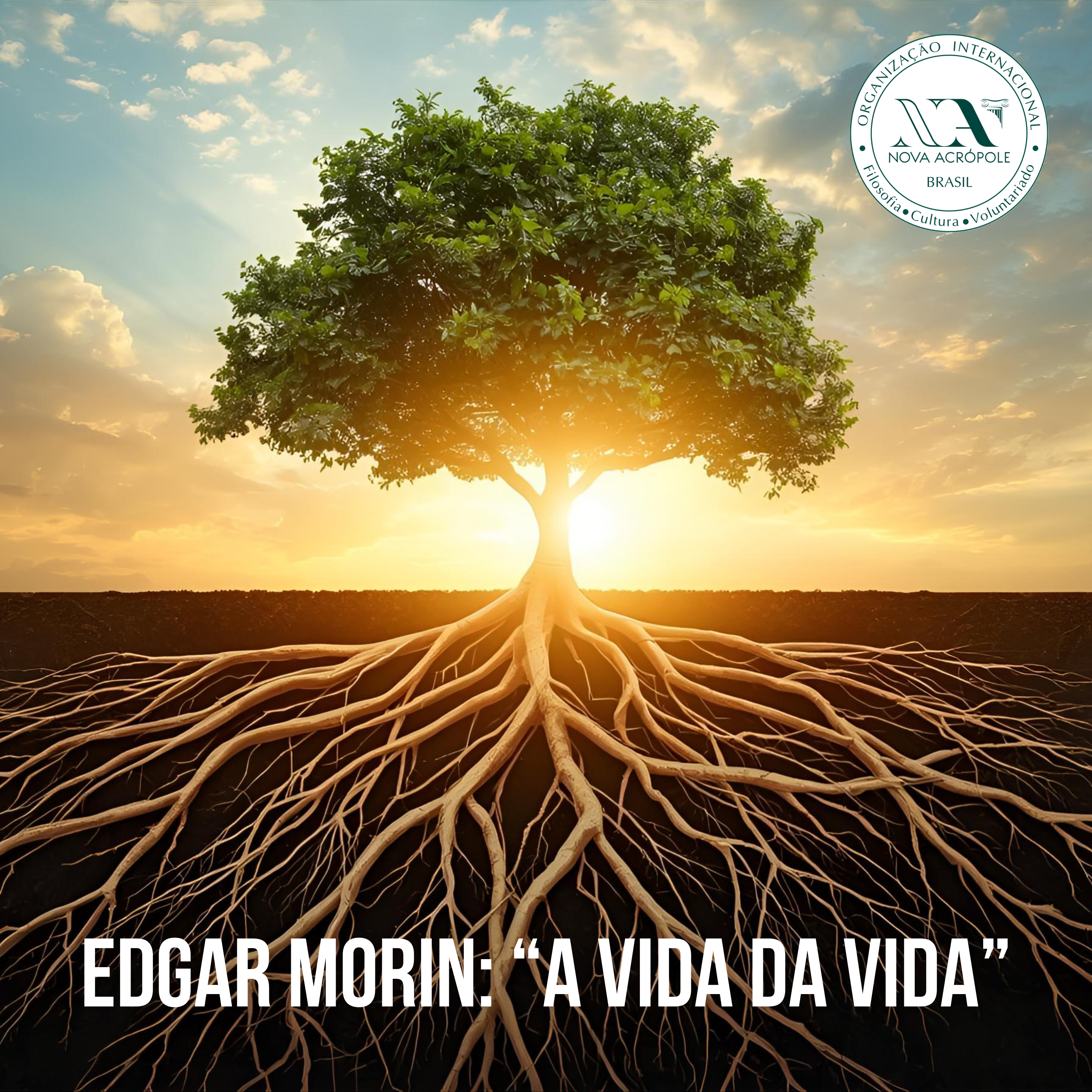 Edgar Morin: "A Vida da Vida"