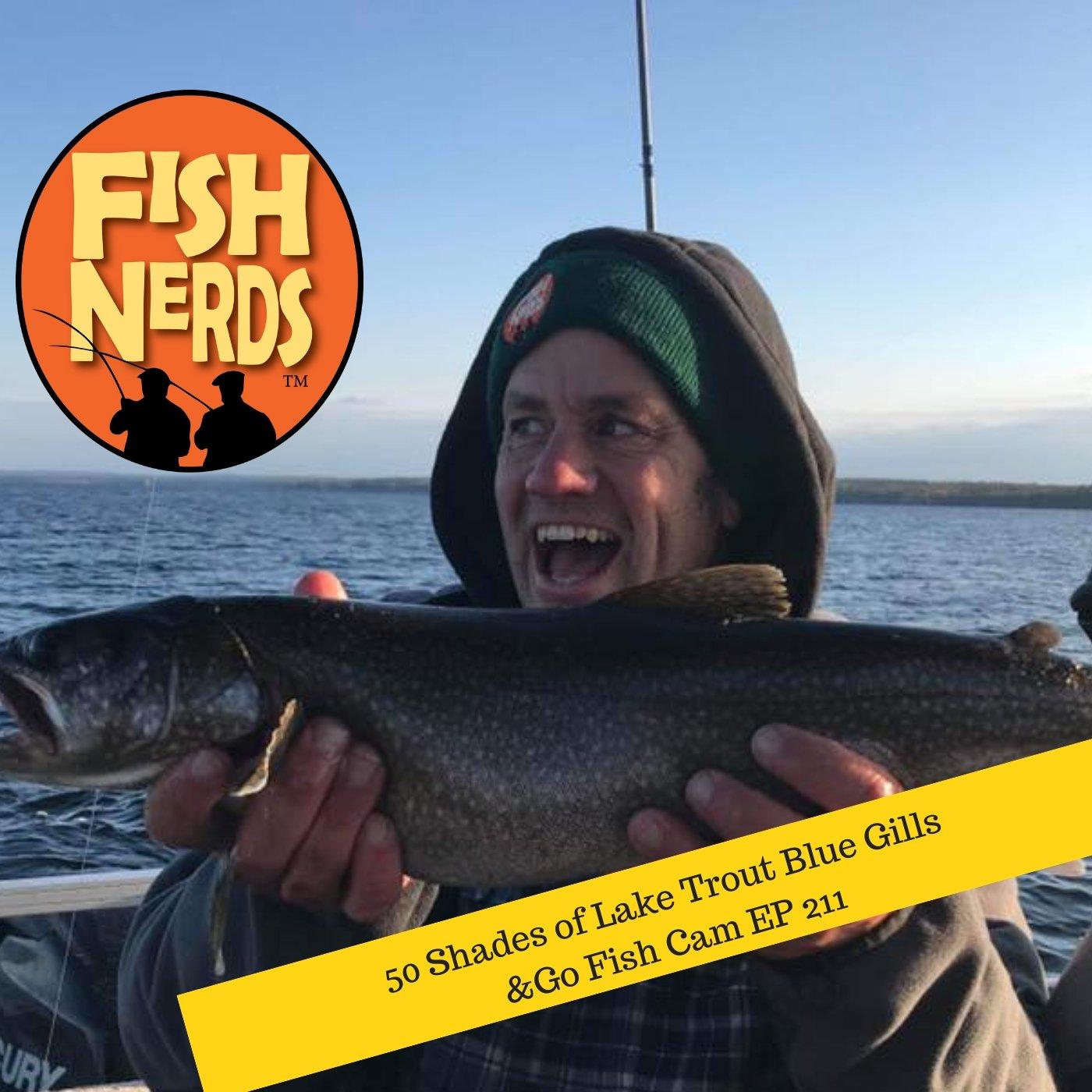 50 Shades of Lake Trout Blue Gills & Go Fish Cam