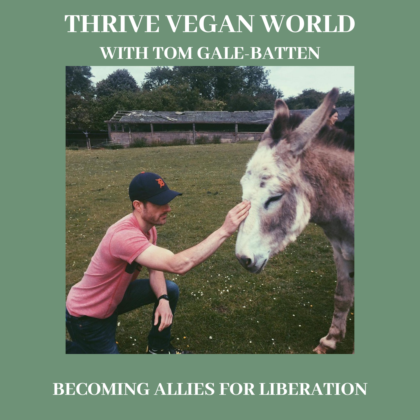 With Tom Gale-Batten - BECOMING ALLIES FOR LIBERATION - Episode 21