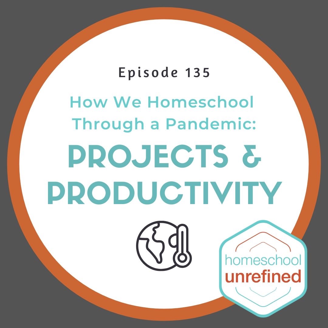 135: How We Homeschool Through a Pandemic: Projects & Productivity