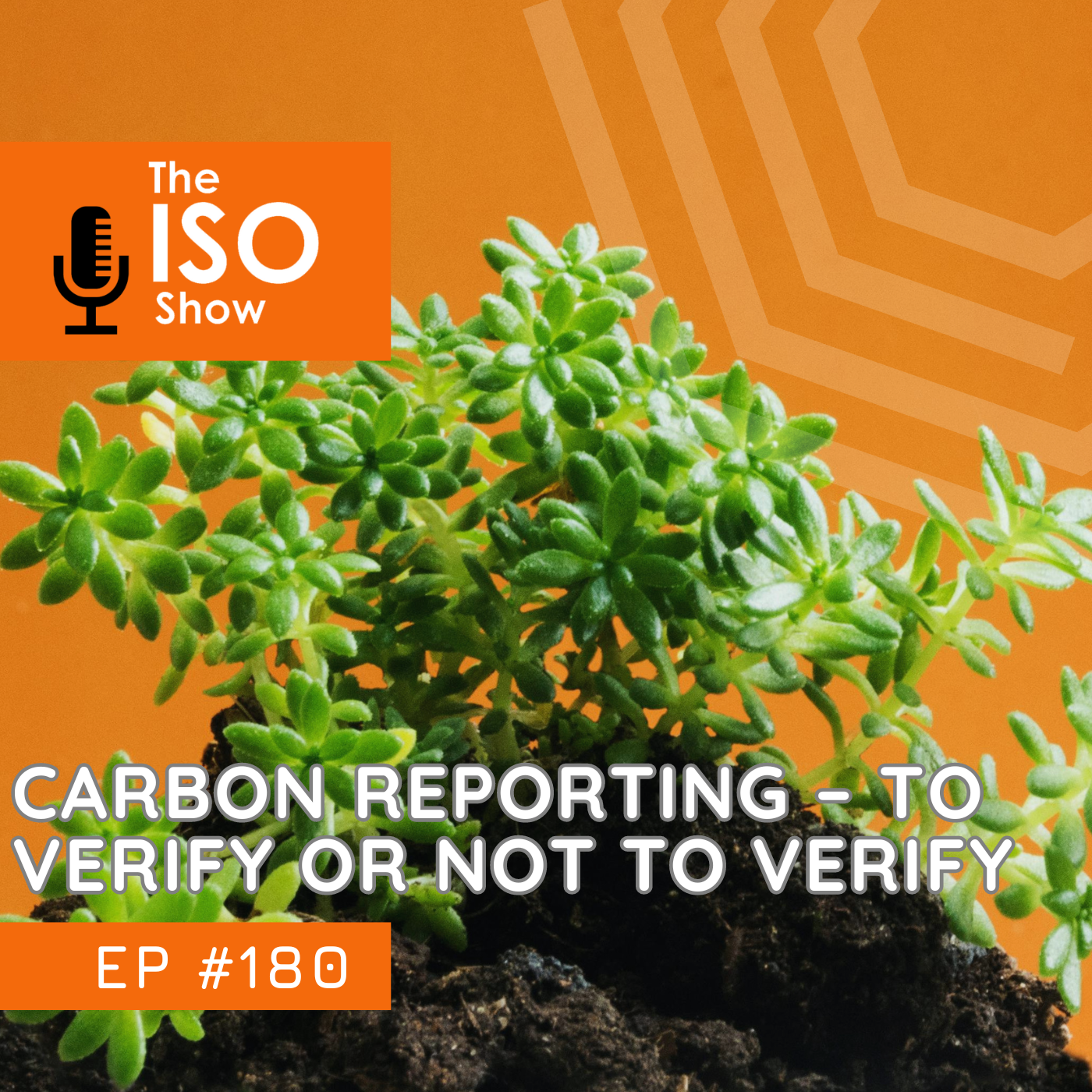 The ISO Show