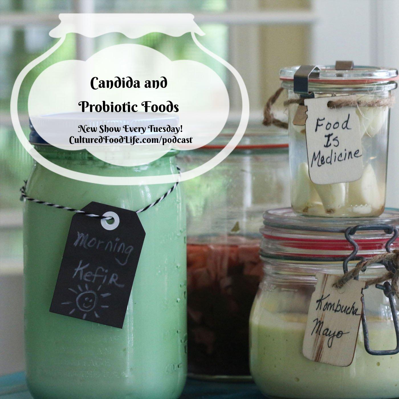 Episode 48: Candida and Probiotic Foods