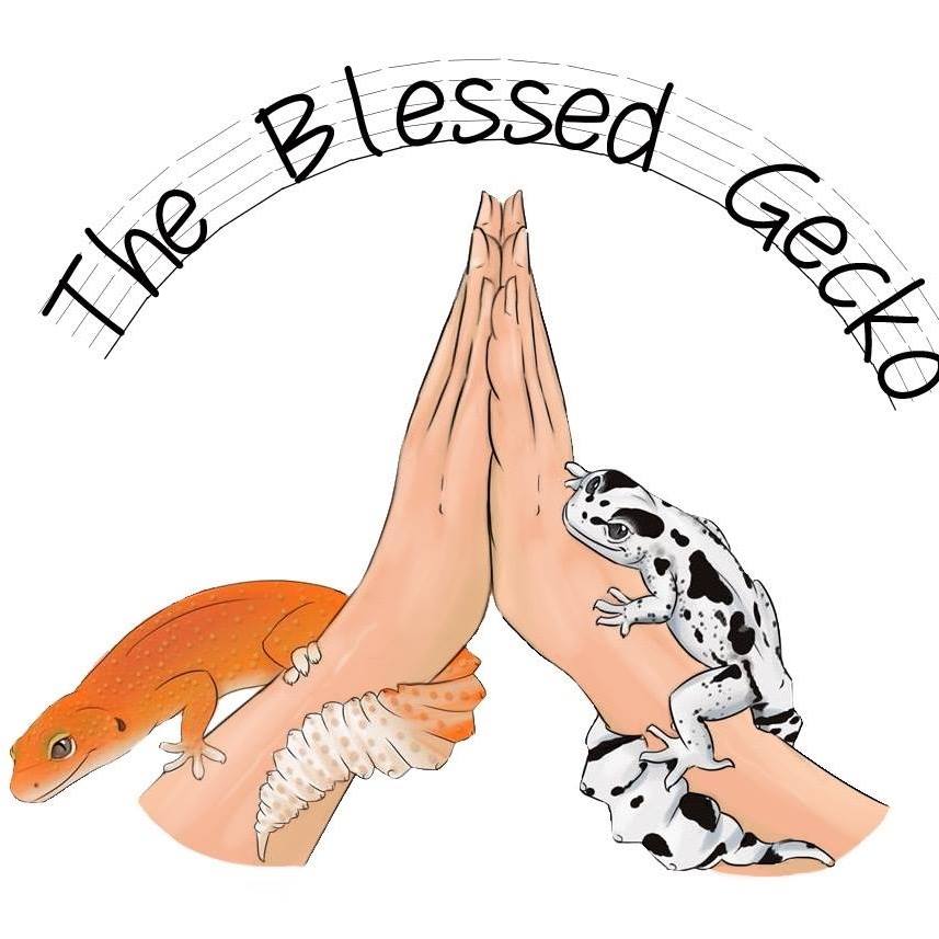 Session Five: Breeding Methodically With Donny Smith From The Blessed Gecko