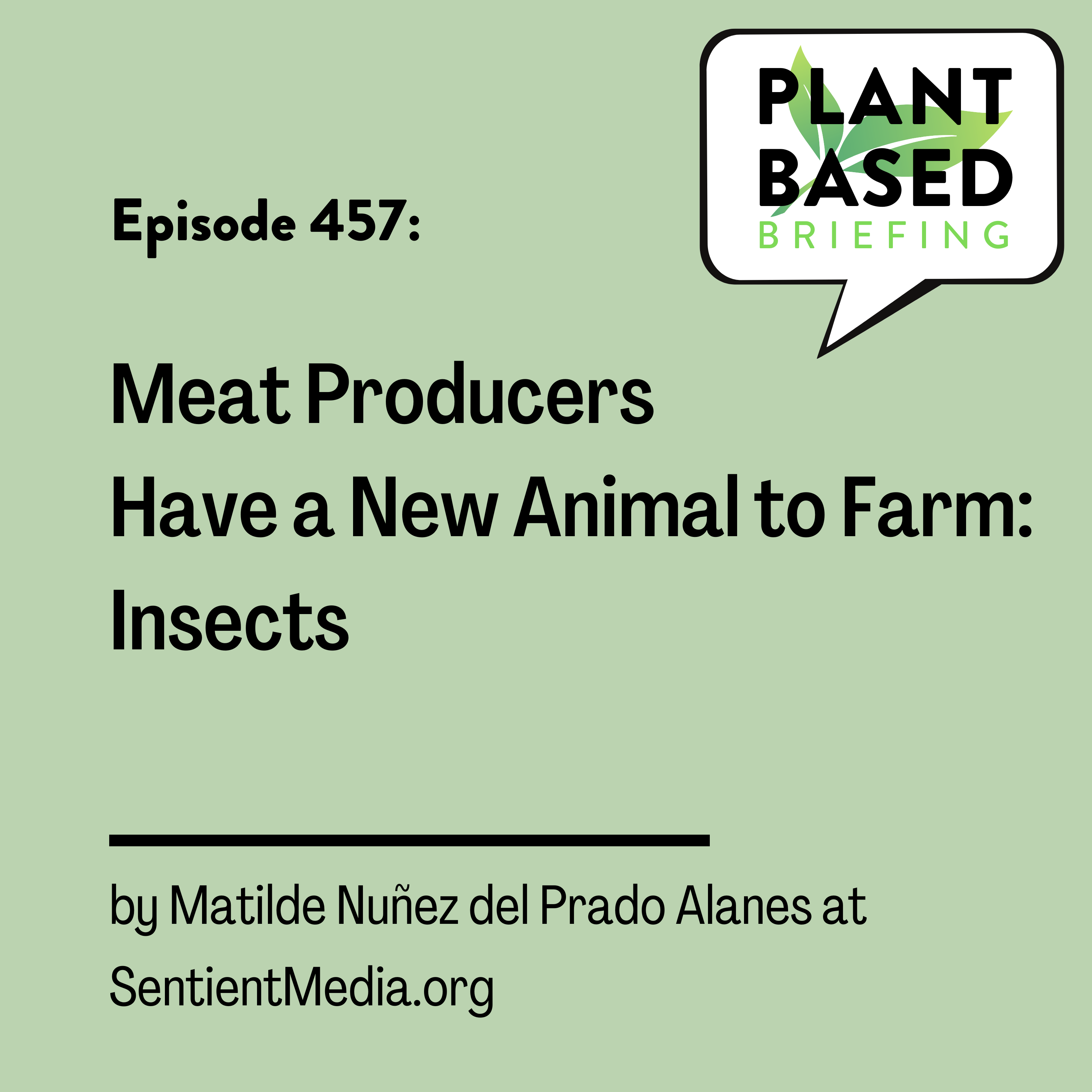 Plant Based Briefing