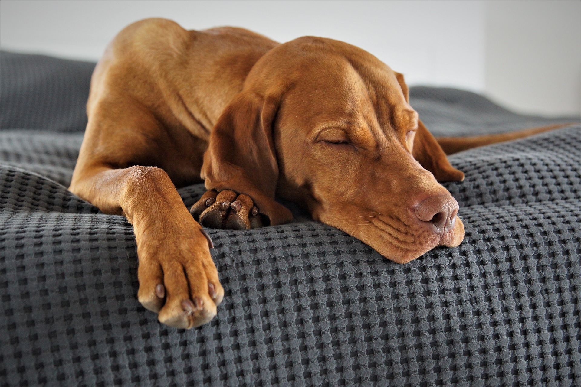 Sleep Guided Meditation, Meet Your Spirit Guides Whilst Sleeping, Calming Your Mind Meditation