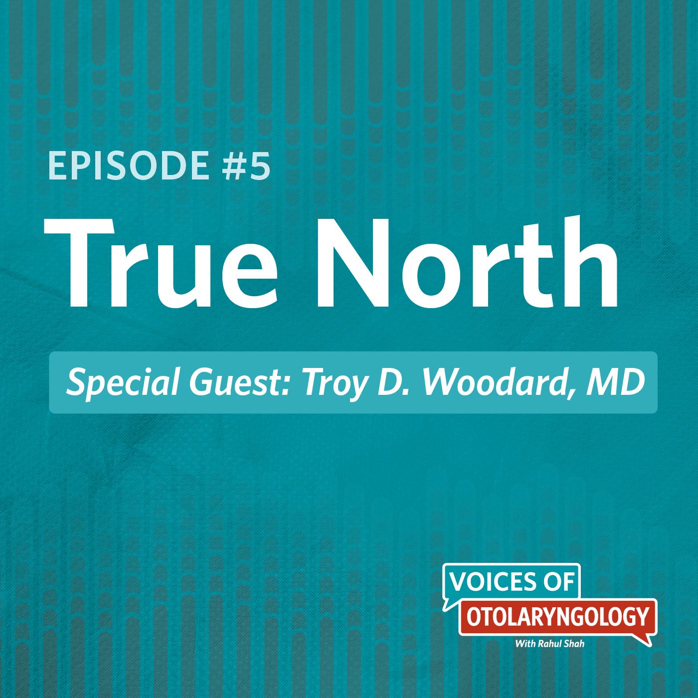True North with AAO-HNS/F President Troy D. Woodard, MD