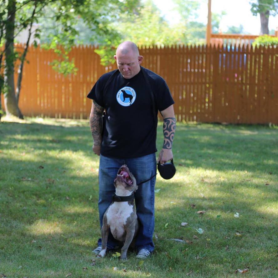 Vermont Dog Trainer Show