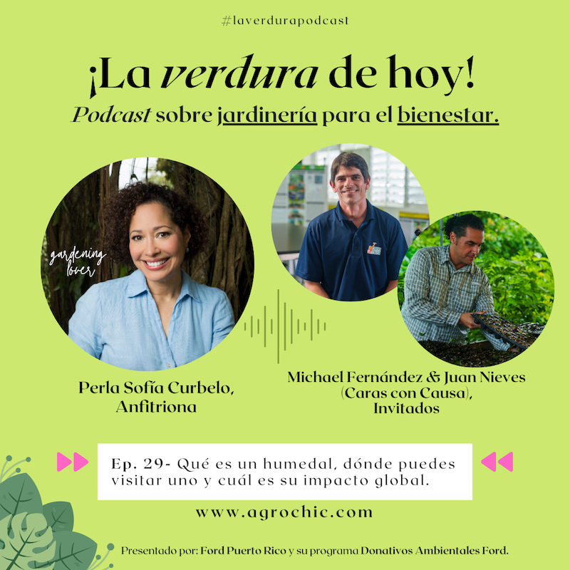 E.29- Qué es un humedal, dónde puedes visitar uno y cuál es su importancia global.