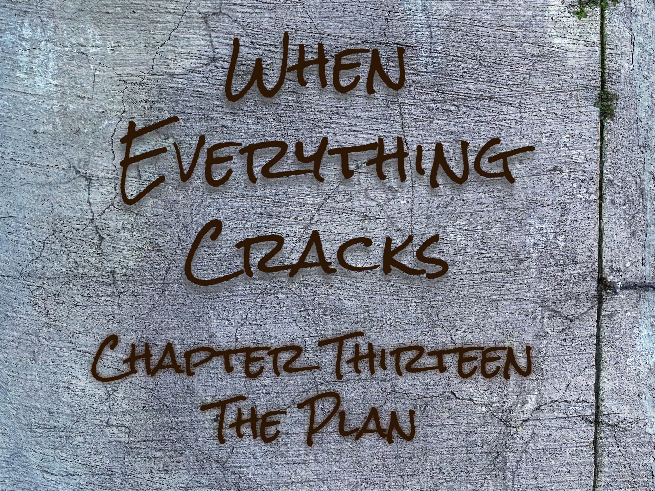 13 The Plan