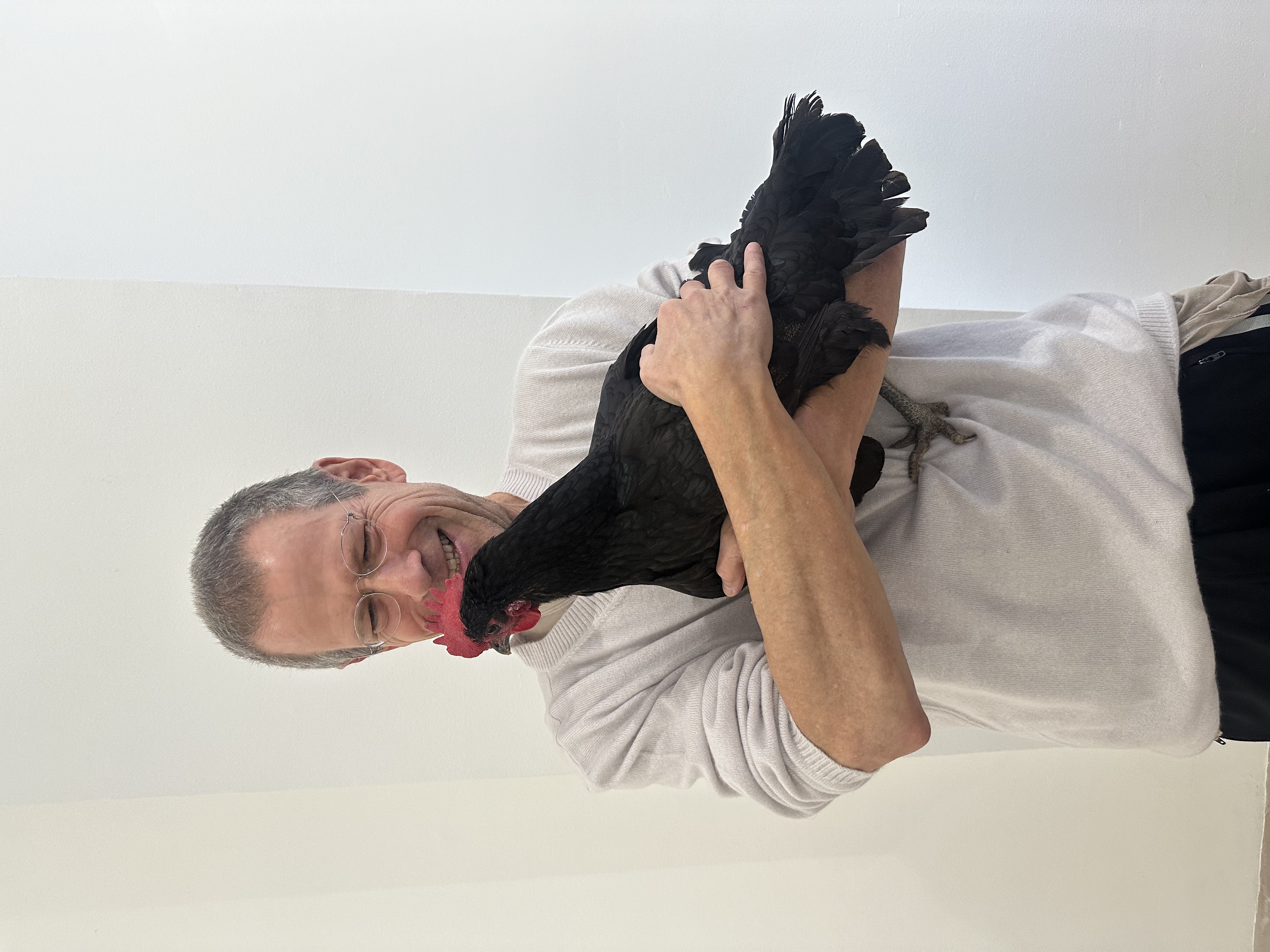 Bad at Sports Episode 914 – Kenny Schachter: Chickens, Auctions, and Foundries (Part 1)