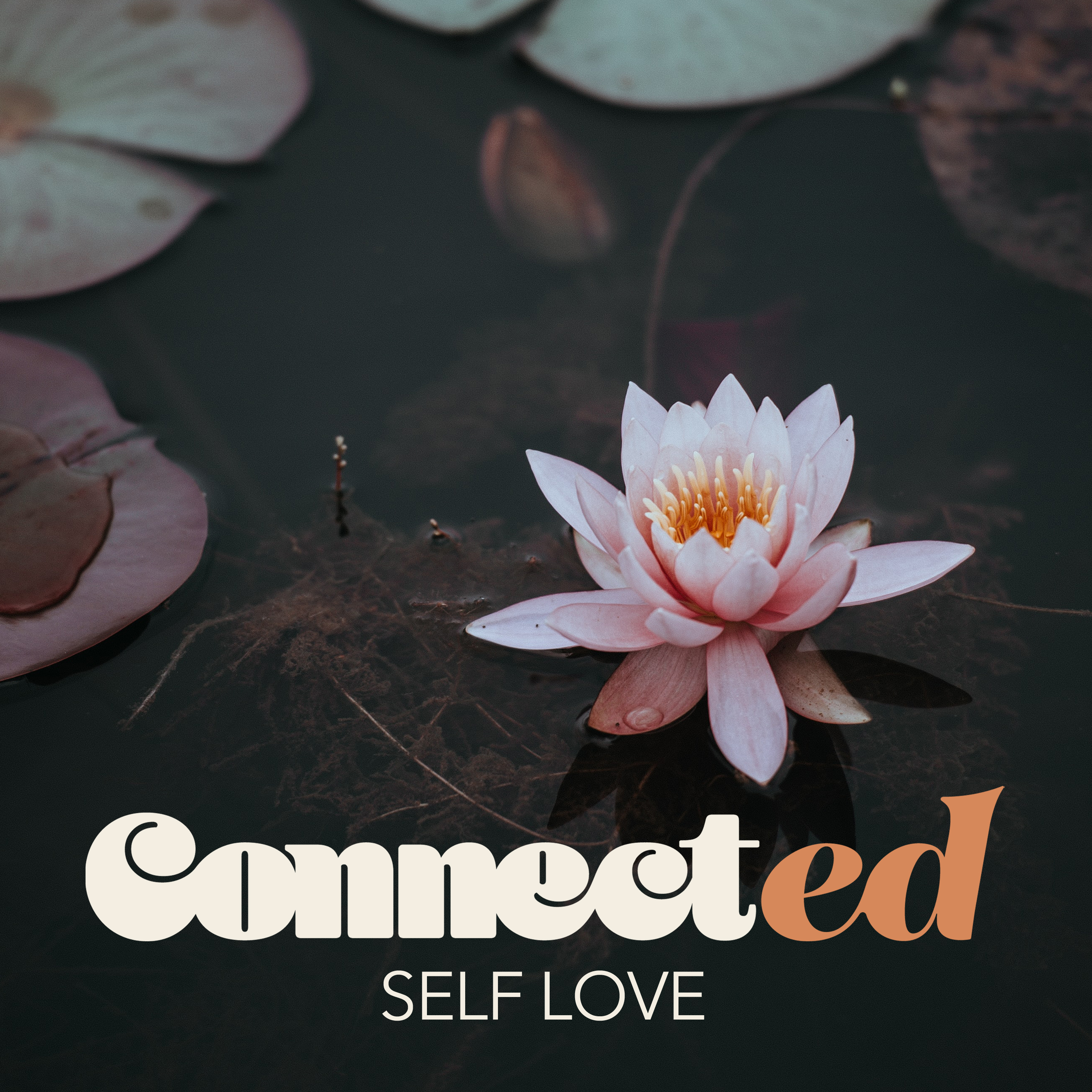 Connected with Kimberly Dam