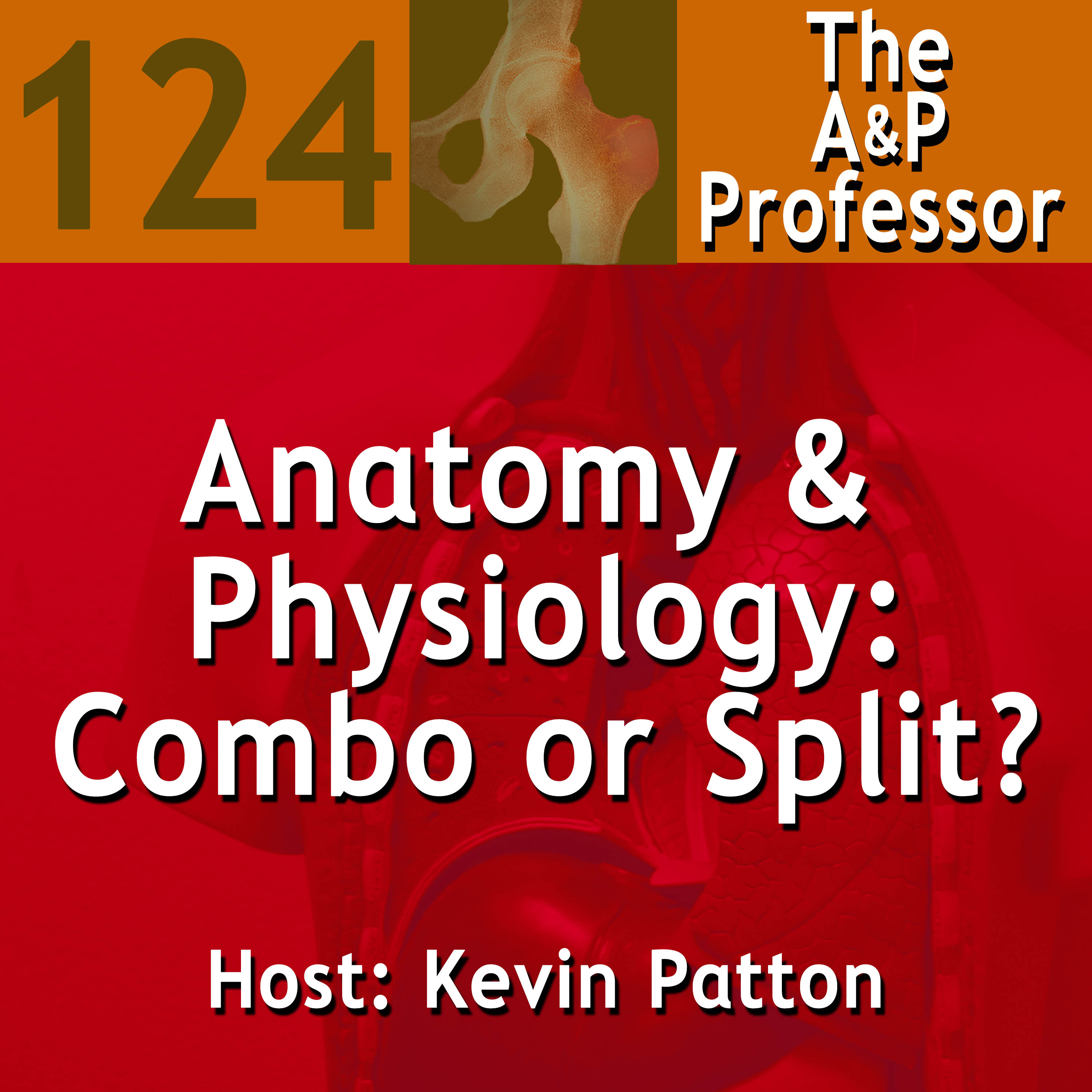 Anatomy & Physiology: Combo or Split? | Journal Club with Krista Rompolski | TAPP 124