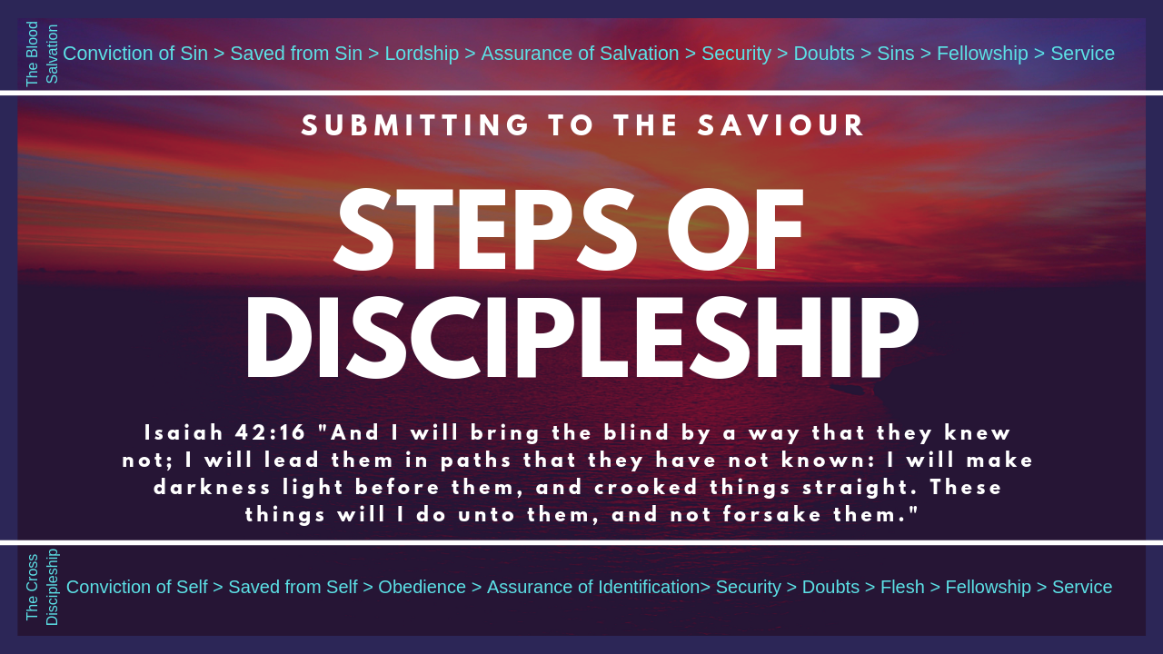 Steps of Discipleship episode artwork