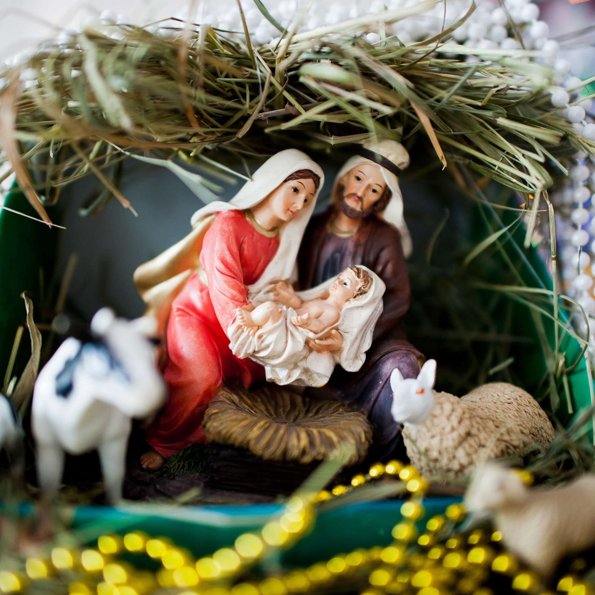 Does Biology Rule Out Christmas?