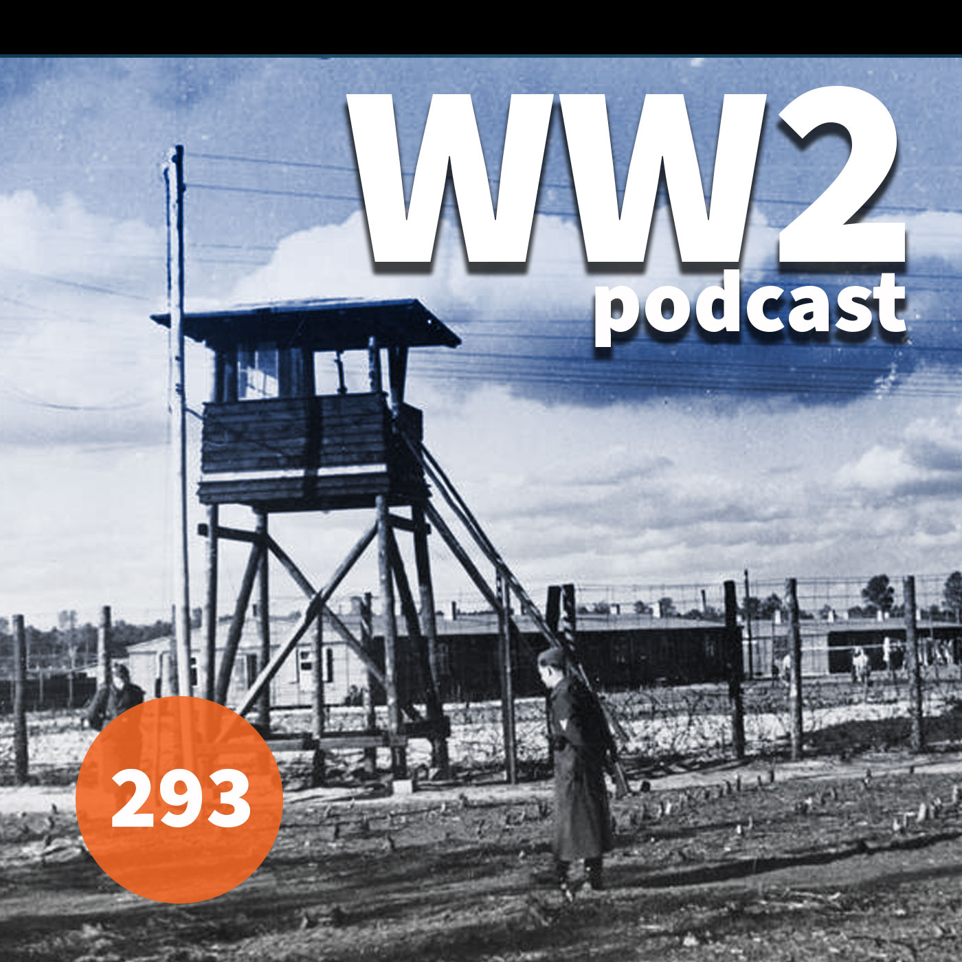 293 - Allied POWs in WWII