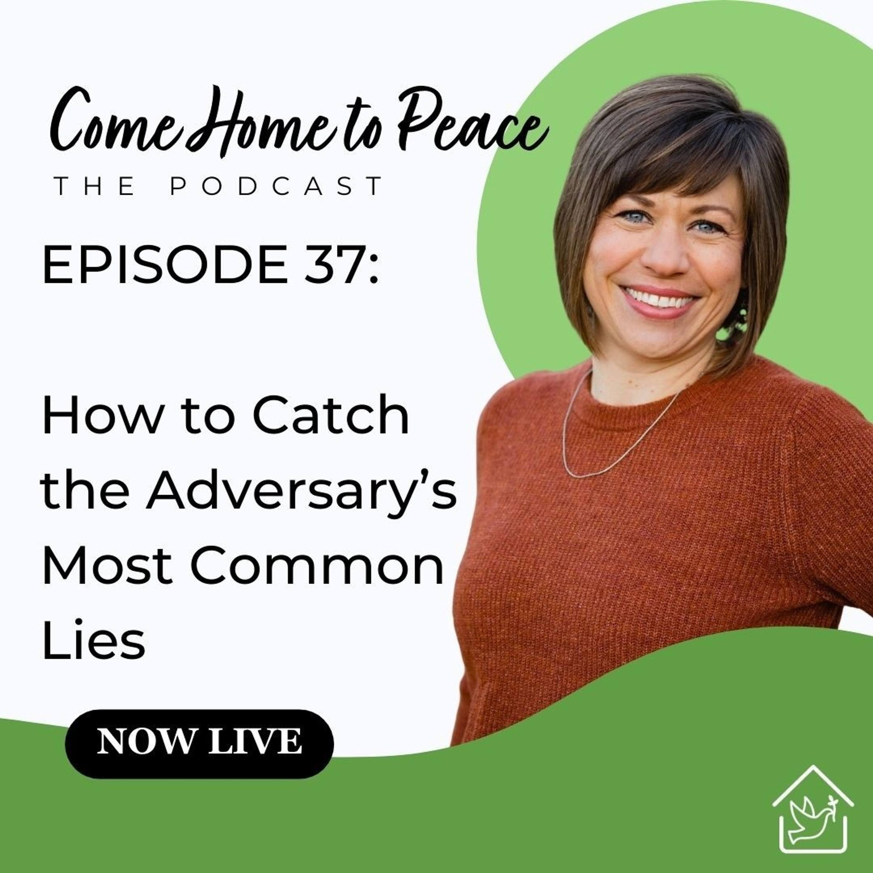 Come Home to Peace